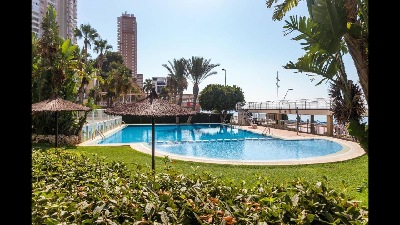 Vip Apartment Olivar Poniente Benidorm Dış mekan fotoğraf